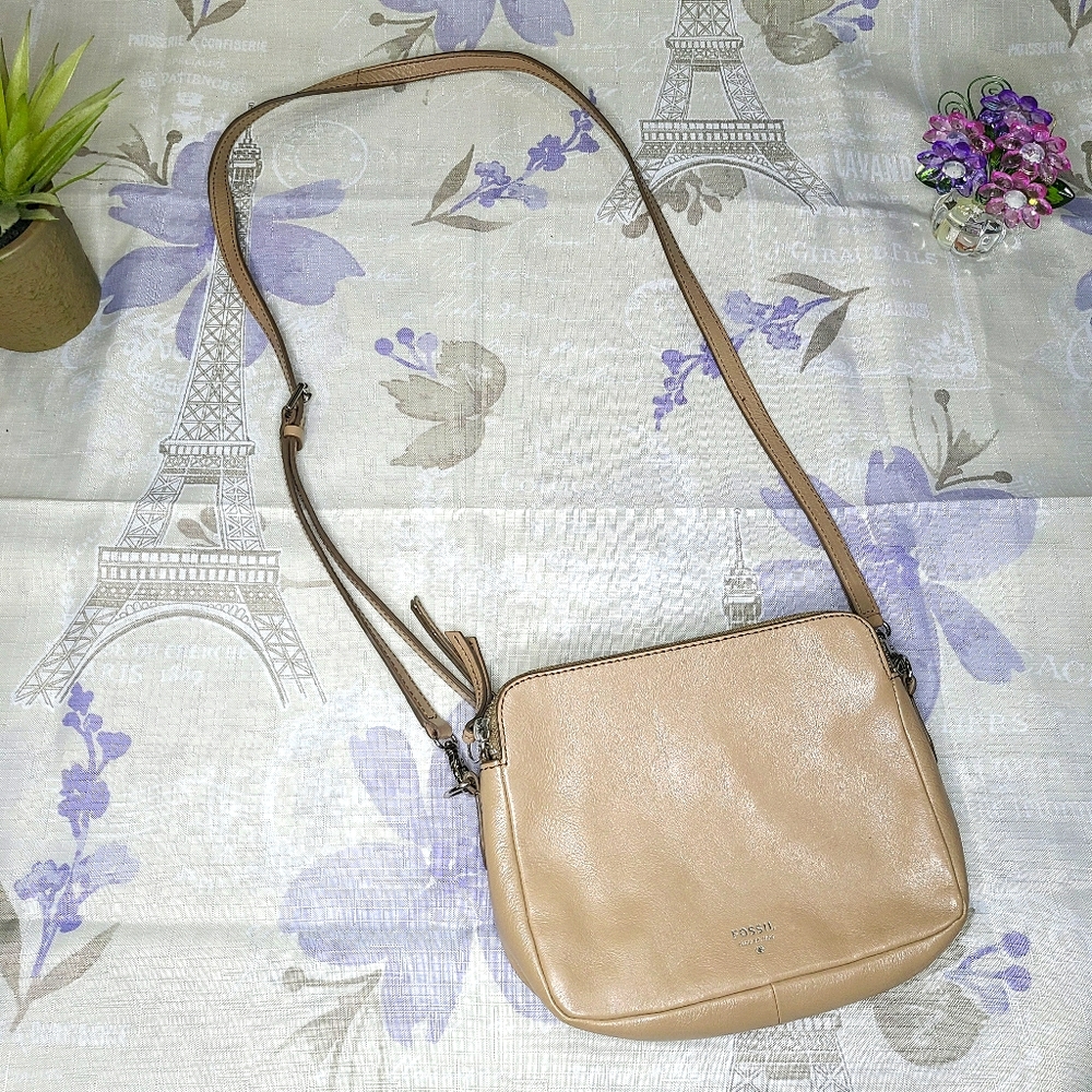 Tan Fossil